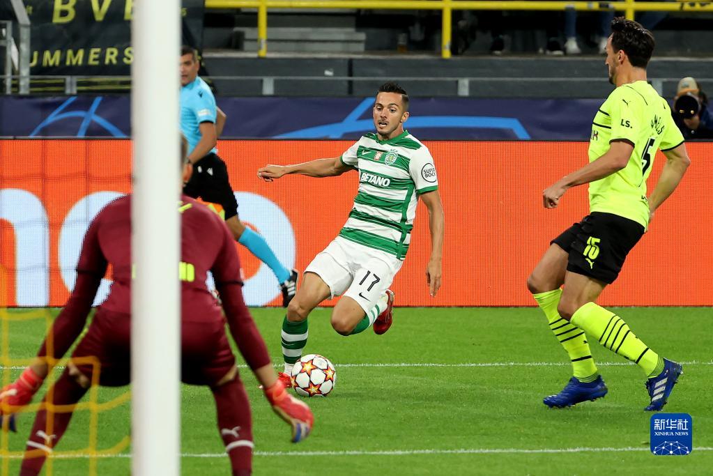 华体会官网-葡萄牙体育迎NBA常规赛关键赛;国际比赛日单刀错失;更衣室稳定;数据趋势出现新变化的简单介绍